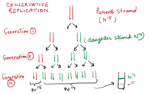 CONSERVATIVE REPLICATION - Parent strand (115) Generation 0 (daughter Strand NY) Ćs Generation D I 1 ( 11 لا لا لا لا ya Ge
