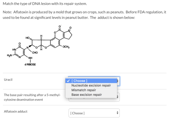 Match the type of DNA lesion with its repair system. Note: Aflatoxin is produced by a mold that grows on crops, such as peanu