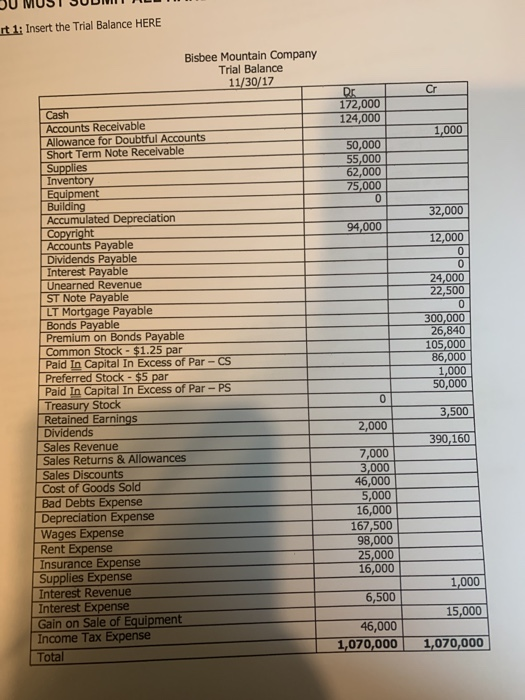 it 1: Insert the Trial Balance HERE J Cr Dr 172,000 124,000 1,000 50,000 55,000 62,000 75,000 32,000 94,000 12.000 0 Bisbee M