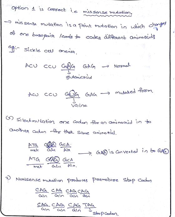 ect \e misscnse mitation mis sese mJtaion \s a ont mutation in h chag ent Gmunoau dg Sickle ceu anemio gtomcaud → mutated-R25m Vaine. กาง tabo ATG GAG GCA metGlAla mutahon Poo CAG CAG CAG CAG CAG CAS CAS TA
