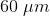 60\;\mu m