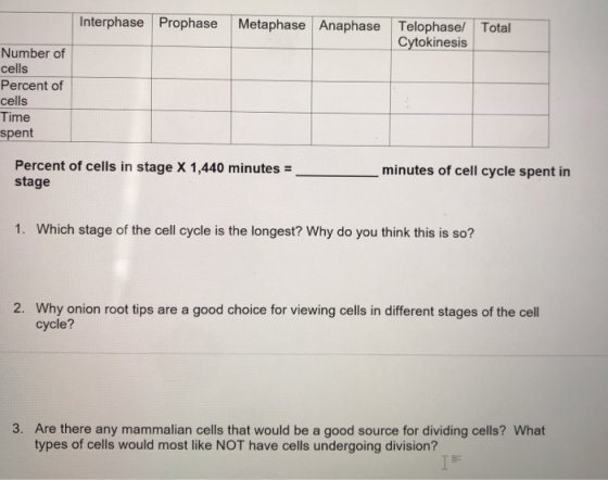 Interphase Prophase Metaphase Anaphase Telophasel Total Cytokinesis Number of cells Percent of cells Time spent Percent of ce