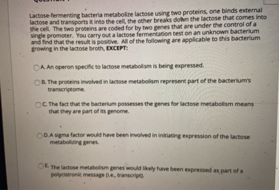 VOLJNO Lactose-fermenting bacteria metabolize lactose using two proteins, one binds external lactose and transports it into t