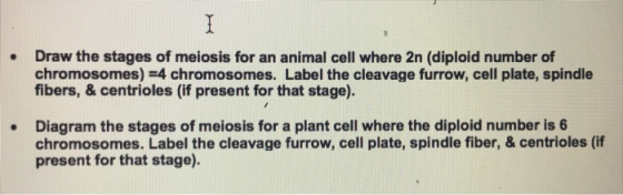 Draw the stages of meiosis for an animal cell where 2n (diploid number of chromosomes) =4 chromosomes. Label the cleavage fur
