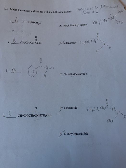 le Match the amines and amides with the following names: Praw oat to dedermne A cH3CHa-N CH3 1. CH CH:N(CH A. ethyl dimethyl