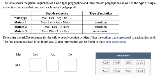 The table shows the partial sequences of a wild type polypeptide and three mutant polypeptides as well as the type of single