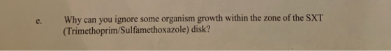 Why can you ignore some organism growth within the zone of the SXT (Trimethoprim/Sulfamethoxazole) disk?