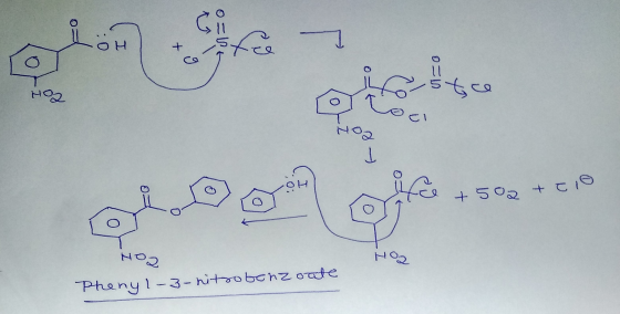X9 01=0 Ha OH - +500 + Cle - Ho2 Phenyl-3-nitrobenzoate