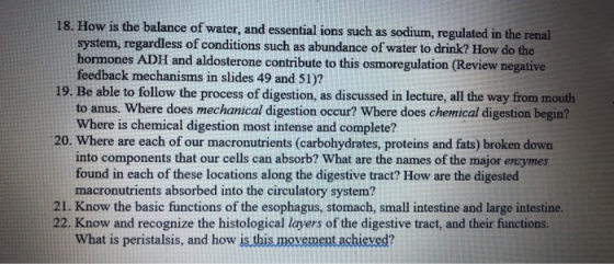 18. How is the balance of water, and essential ions such as sodium, regulated in the renal system, regardless of conditions s
