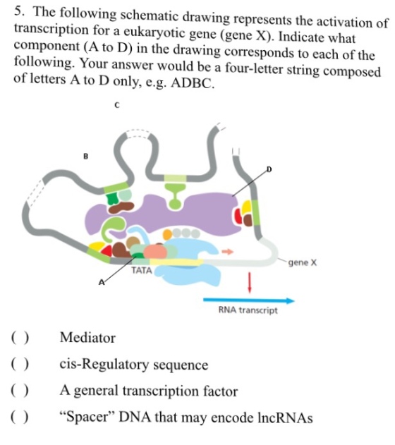 5. The following schematic drawing represents the