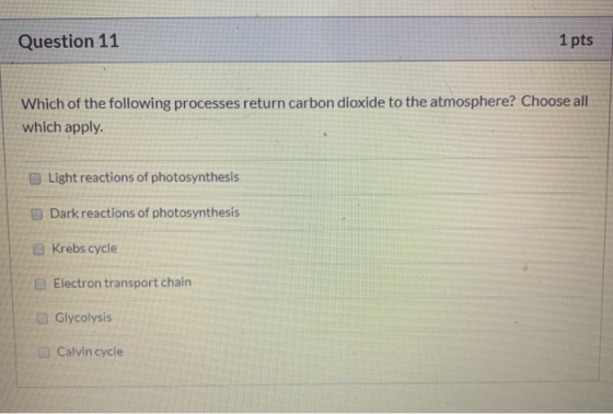 Question 11 1 pts Which of the following processes return carbon dioxide to the atmosphere? Choose all which apply. Light rea