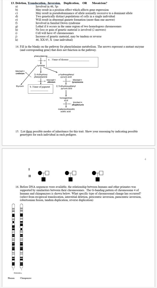 13. Deletion, Translocation, Inversion, Duplication, OR Mosaicism? Involved in 46, 5p- May result in a position effect which