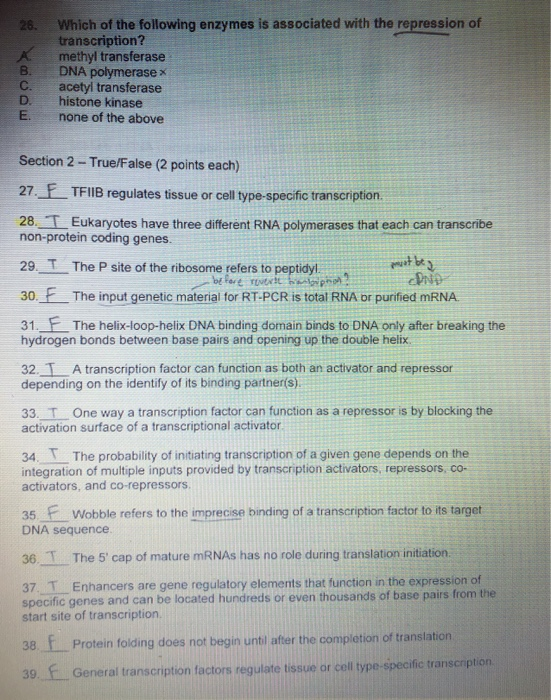 26. B. Which of the following enzymes is associated with the repression of transcription? methyl transferase DNA polymerasex