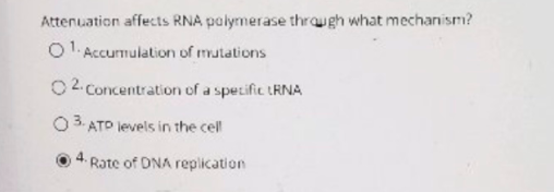 Attenuation affects RNA polymerase through what mechanism? O 1. Accumulation of mutations 2.Concentration of a specific RNA 0