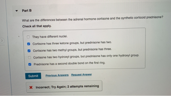 Part B What are the differences between the adrenal hormone cortisone and the synthetic corticoid prednisone? Check all that