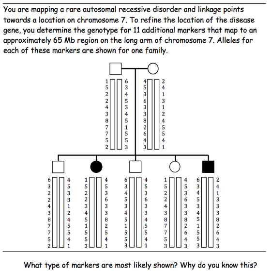 You are mapping a rare autosomal recessive disorde
