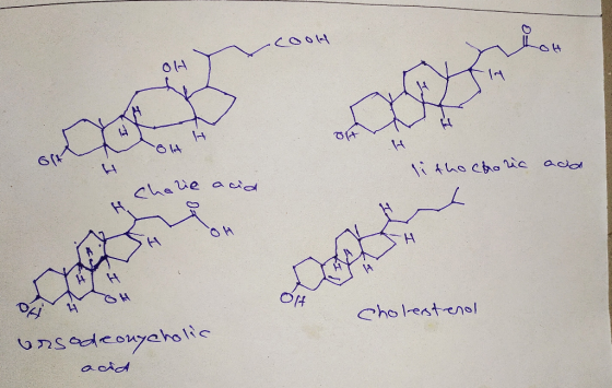 cool t olt litho choric acid here acid 4 sh Olt OH OH cholesterol arsodeongcholic adid