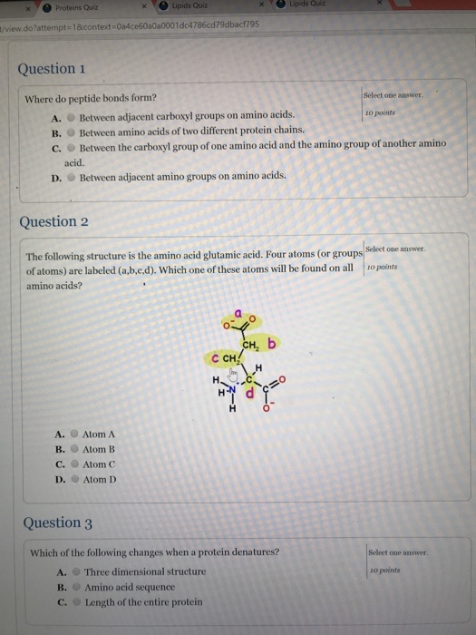 xProteins Quiz x ipids Quiz x Lipids Quiz t/view do?attempt- 1&context 0a4ce60a0a0001dc4786cd79dbacf795 Question1 Select one answer Where do peptide bonds form? A. Between adjacent carboxyl groups on amino acids. B. Between amino acids of two different protein chains. C. Between the carboxyl group of one amino acid and the amino group of another amino o points acid. D. Between adjacent amino groups on amino acids. Question2 Select one answer The following structure is the amino acid glutamic acid. Four atoms (or group of atoms) are labeled (a.b.c,d). Which one of these atoms will be found on all 0 points amino acids? H2 CCH 0 A. Atom A B. Atom B C. G) Atom C D. Atom D Question 3 Which of the following changes when a protein denatures? Select one answer o points A. Three dimensional structure B. Amino acid sequence c. Length of the entire protein