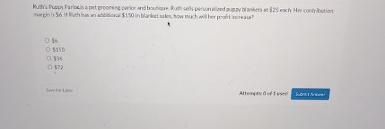 Ruths Puppy Parlois a pet grooming parlor and boutique. Ruth sells personalized puppy blankets at $25 each. Her contribution