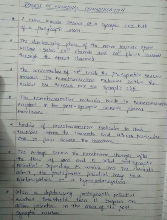 PROCESS OF NEURONAL COMMUNICATION qulbe Phesyieaptic A neave anguves at a end bulb Sypnayehe 5 acon The depelarizaing phase t