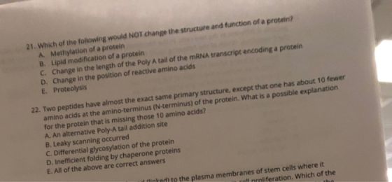 21. Which of the following would NOT change the structure and function of a protein A Methylation of a protein B. Lipid modif