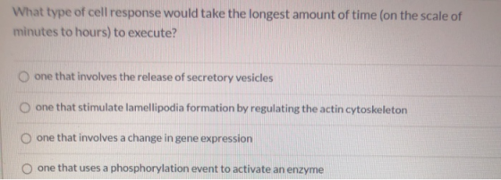 What type of cell response would take the longest amount of time (on the scale of minutes to hours) to execute? one that invo