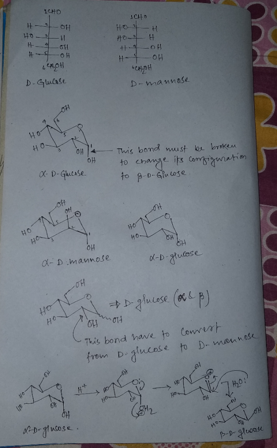 ICHO H- OH HOH H-4-OH # -OH CHD HOH HOH HOH HI OH CHH 6oH D-Gulose D-mannose OH OH X-D-Glucose This bond must be broken to ch