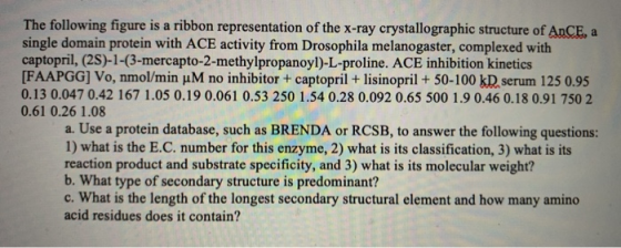 The following figure is a ribbon representation of the x-ray crystallographic structure of AnCE, a single domain protein with