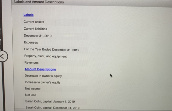Labels and Amount Descriptions Labels Current assets Current liabilities December 31, 2019 Expenses For the Year Ended Decemb