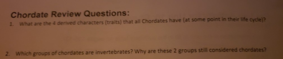Chordate Review Questions: 1. What are the 4 derived characters (traits) that all Chordates have (at some point in their life