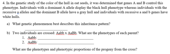 4. In the genetic study of the color of the hull in oat seeds, it was determined that genes A and B control this phenotype. Individuals with a dominant A allele display the black hull phenotype whereas individuals with the recessive a alleles and the dominant B allele have a gray hull and individuals with recessive a and b genes have white hulls. a) What genetic phenomenon best describes this inheritance pattern? b) Two individuals are crossed: Aabbx AaBb. What are the phenotypes of each parent? 1. Aabb; 2. AaBb: What are the phenotypes and phenotypic proportions of the progeny from the cross?
