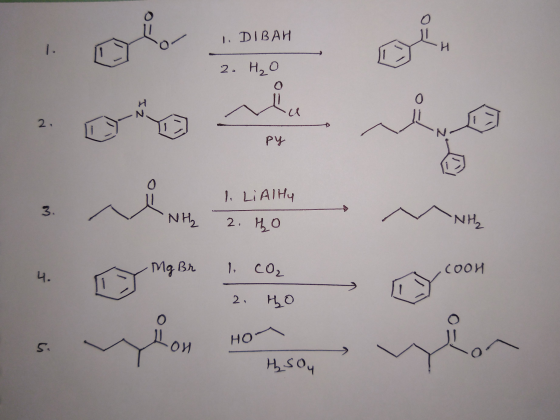1. DIBAH 2. со со py 1. Li Ally NH, 2. но -NH₂ Mg Br Соои 1. CO₂ 2. ңо HSou