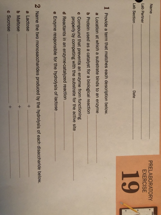 Name PRELABORATORY EXERCISE Lab Partner Lab Section Date 19 1 Provide a term that matches each description below. a Location