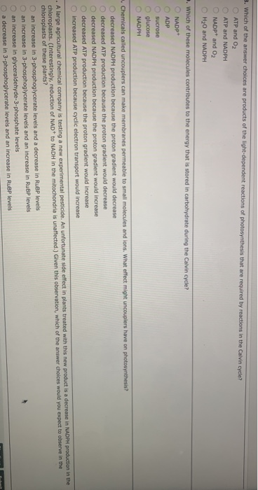 3. Which of the answer choices are products of the light-dependent reactions of photosynthesis that are required by reactions