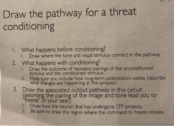 Draw the pathway for a threat conditioning 1. What happens before conditioning? 1. Draw where the tone and visual stimulus co