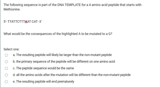 The following sequence is part of the DNA TEMPLATE for a 4 amino acid peptide that starts with Methionine. 5- TTATTCTTTAAT CA