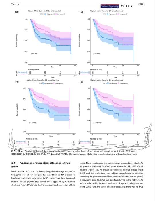 YAN AL 19079 bla Physiclogy WILEY Kaplan-Meer Curve for BC overall survival Kaplan-Meler Cuve for BC overall survival (a) (b)