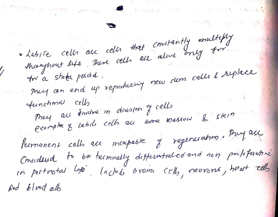 trr cells Aiplhce muy an end iy new slem ab/e