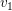 \small v_{1}