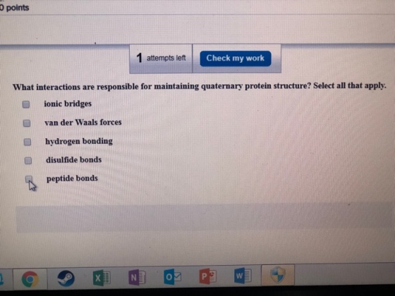 O points 1 attempts left Check my work What interactions are responsible for maintaining quaternary protein structure? Select all that apply O ionic bridges van der Waals forces hydrogen bonding O disulfide bonds peptide bonds