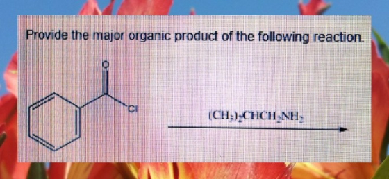 Provide the major organic product of the following reaction. ci ICH )-CHCH NH