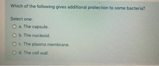 Which of the following gives additional protection to some bacteria? Select one: O a. The capsule. O b. The nucleoid O c. The
