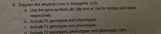8. Diagram the dihybrid cross in Drosophila. (2.5) a. Use the gene symbols dpt/dp and se*/se for dumpy and sepia respectively