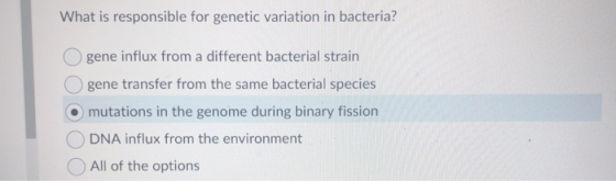 What is responsible for genetic variation in bacteria? O gene influx from a different bacterial strain Ogene transfer from th