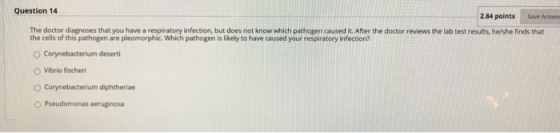 Question 14 2.84 points Save Answer The doctor diagnoses that you have a respiratory infection, but does not know which patho