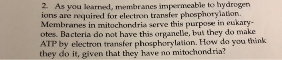 2. As you learned, membranes impermeable to hydrogen ions are required for electron transfer phosphorylation. Membranes in mitochondria serve this purpose in eukary otes. Bacteria do not have this organelle, but they do make ATP by electron transfer phosphorylation. How do you think they do it, given that they have no mitochondria?