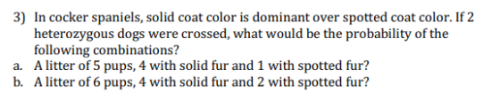 3) In cocker spaniels, solid coat color is dominant over spotted coat color. If 2 heterozygous dogs were crossed, what would