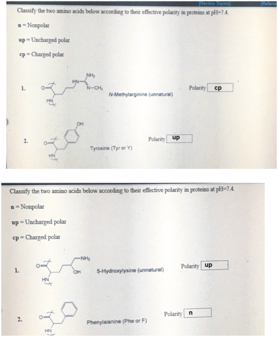 ce Classify the two amino acids below according te theuyetive n Noipolar up = Uncharged polar cp Charged polar polarity in proteins at pH-14 HN 1. Polarity cp N-Meth atüral) HN он Tyrosine (Tyr or according to teir e potens at plH-14. Classify theaao n Noipelr acids below NH2 1. OH 5-Hydroxylysine (unnat 2. Phenylalanine (Phe or