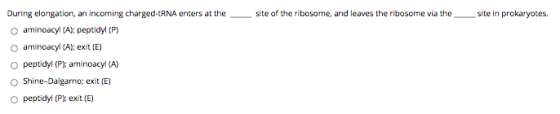 site of the ribosome, and leaves the ribosome via the site in prokaryotes During elongation, an incoming charged-ERNA enters