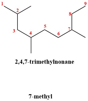 2,4,7-trimethylnonane 7-methyl